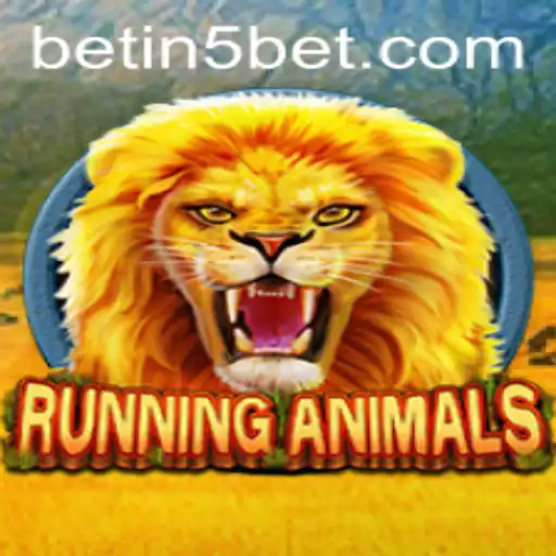 in5bet Casino App