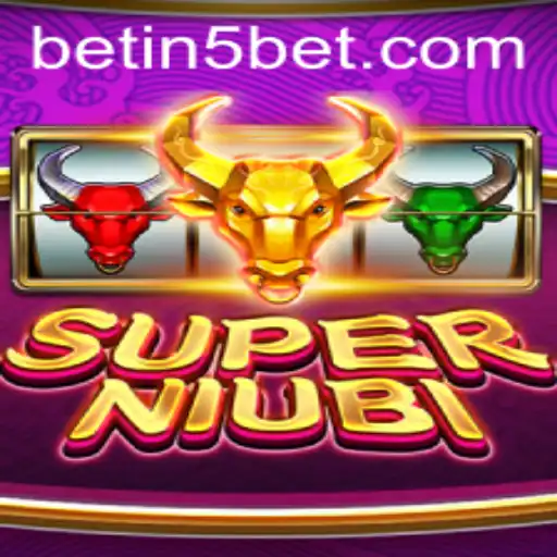 in5bet Casino App